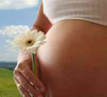 Kalcija za trudnice