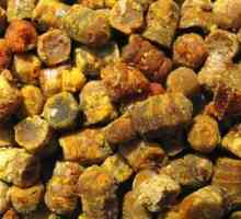 Prirodni proizvod koji imaju više od 20 korisnih svojstava, upoznati - pčelinji pelud