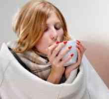 Prevencija prehlade narodnih lijekova. Kako ne dobiti bolestan u zimi?