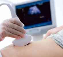 Nošenje i priprema za ultrazvuk želuca