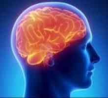 Zajednički encefalopatija mozak