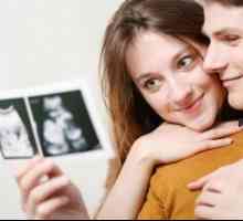 Dešifriranja ultrazvuk prvog tromjesečja trudnoće: norma i patologija fetusa