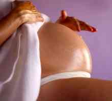 Učinkovitost maslinovog ulja na strije u trudnoći i načine korištenja