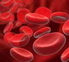 Krv Liječenje narodnih lijekova