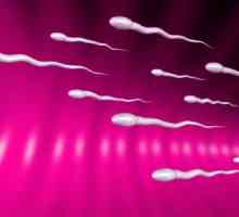 Pravi činjenice o ustajaloj spermi