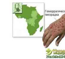 Rijetko skupina zaraznih bolesti - hemoragične groznice