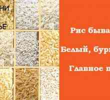 Riža - štete i koristi od antičkog žitarica. njegove varijante