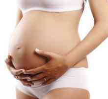 Uloga cervikalnog kanala za vrijeme trudnoće