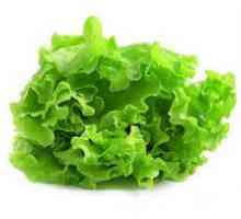Salata: korisna svojstva i kontraindikacije