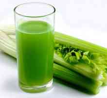 Celer. Korisna svojstva i kontraindikacije