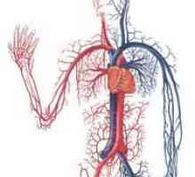 Kardiovaskularne bolesti u medicini tibetanskog