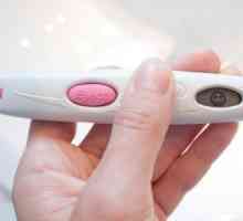 Šanse za dobivanje trudna dok dojenje: Da li je moguće biti zaštićen od začeća