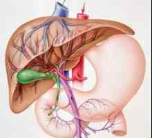 Simptomi bolesti jetre - glavne dijagnostičke kriterije