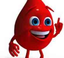 Koliko krvi u ljudskom tijelu, i što to ovisi?