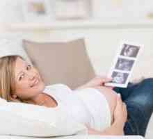 Koliko puta mogu učiniti ultrazvuk u trudnoći? Svrha i dešifriranje
