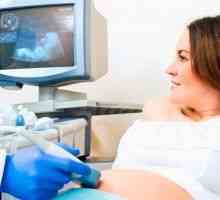 Screening prvog tromjesečja trudnoće