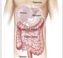 Sluz u crijevu - alarmantno simptom