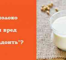 Sojino mlijeko: koristi i štete od „mužnju” od soje