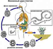 Metode za otkrivanje parazita u ljudskom tijelu