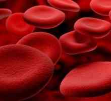 Prosječni sadržaj hemoglobina u eritrocitima - norma i patologija