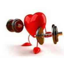 Svojstva srčanog mišića i njegove bolesti
