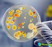 Kao što je prikazano Staphylococcus aureus: Koji su simptomi?