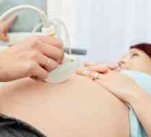 Razlozi za i padove u ALT i AST u trudnoći