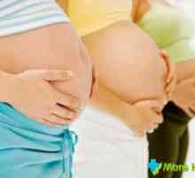 Što trebate znati trudnu ženu na kronične toksoplazmoza?