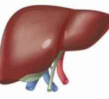 U difuznih promjena u parenhimu jetre mogu biti različiti razlozi