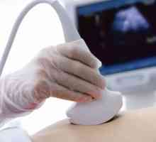 Ultrazvuka jajnika: put priprave, norme i odstupanja
