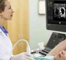 Ultrazvuk dojki - koliko često možete učiniti i mogući rezultati ankete
