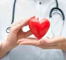 Ultrazvuk srca - Transkript: norma i patologija