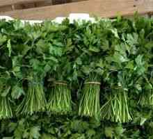 Kakva je korist od cilantro za potenciju