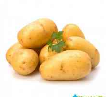 Što je šteta i koristi od krumpira?