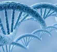 Specifičnost vrsta DNA molekula