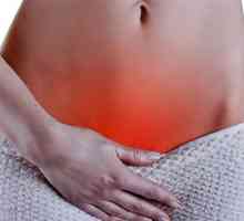 Vrste vrata maternice bolesti u žena