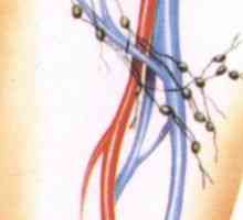 Povećani limfni čvorovi u preponama kod muškaraca i žena