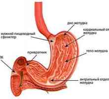 Simptomi i liječenje gastritisa pomiješana
