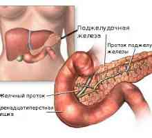 Kako opasno pankreatitis tijekom trudnoće?
