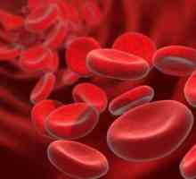 Svrha i prijepis analiza zgrušavanja krvi