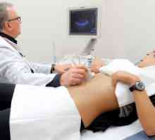 Zaključak Ultrazvuk abdomena - norma i patologija