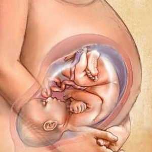 27 Tjedana trudnoće - i fetusa žene u tom razdoblju