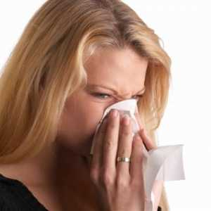 Alergijski rinitis, peludna groznica