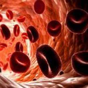 Glavni razlozi za nisku razinu krvnog hemoglobina
