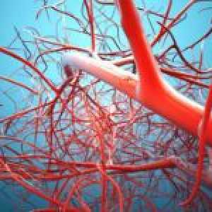 Angioprotectors - vaskularne zaštitnici