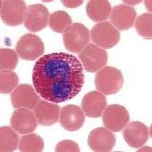 Što je eozinofili, i da oni pokazuju u krvi