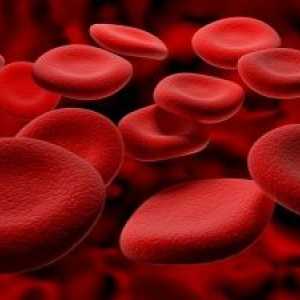 U crvenim krvnim stanicama povećao: Uzroci, posljedice i prevencija