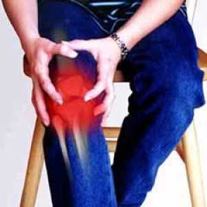 Bol u zglobovima (artritis, artroza, giht). Liječenje narodnih lijekova.