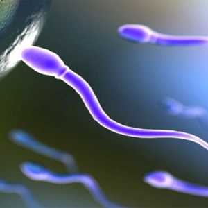 Što učiniti u smanjenom obujmu sperme