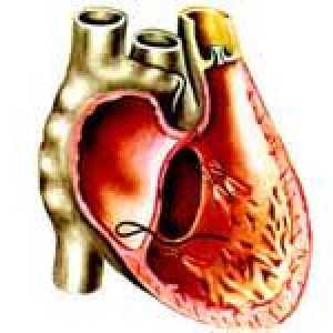 Uzroci i liječenje lijeve klijetke zatajenja srca